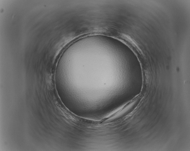 X0000073521260200608211756