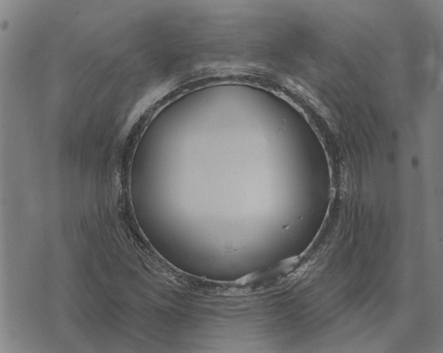 X0000073521261200608211756