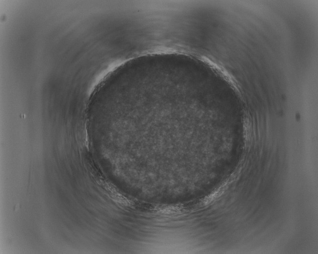 X0000073521262200608211756