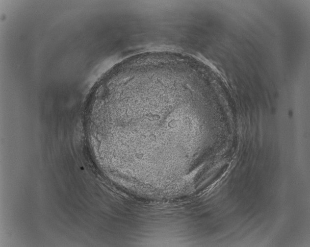 X0000073521263200608211756