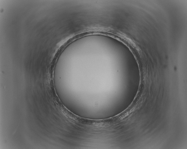 X0000073521264200608211756