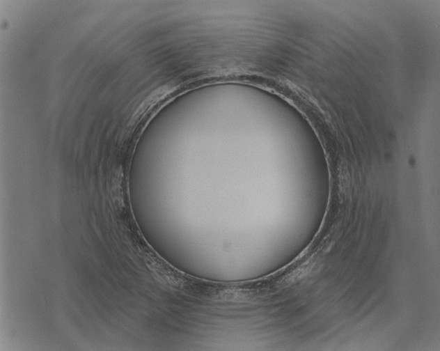 X0000073521265200608211756