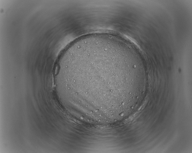 X0000073521267200608211756