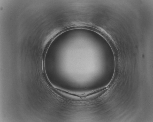 X0000073521269200608211755