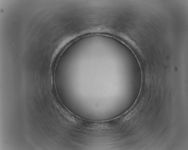 X0000073521270200608211755