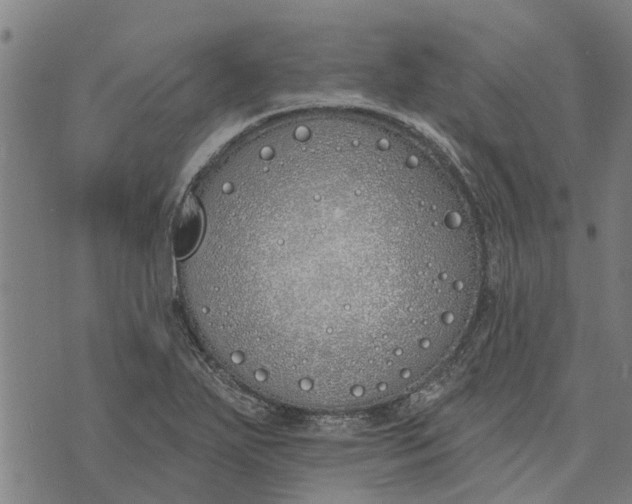 X0000073521271200608211755