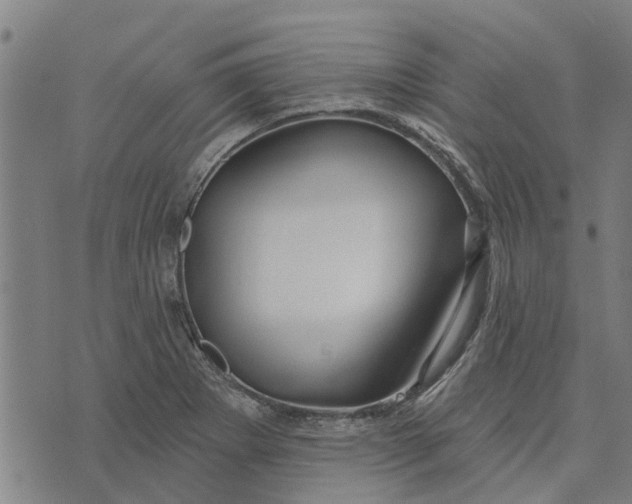 X0000073521273200608211755