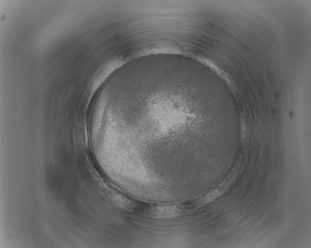 X0000073521274200608211755