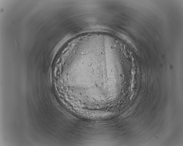 X0000073521275200608211755