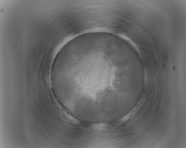 X0000073521278200608211755