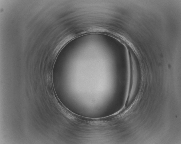 X0000073521281200608211755