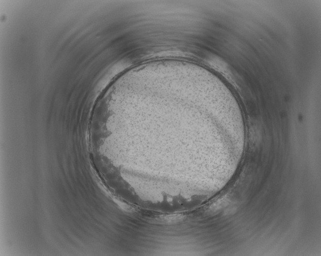 X0000073521282200608211755