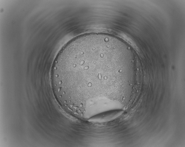 X0000073521283200608211755