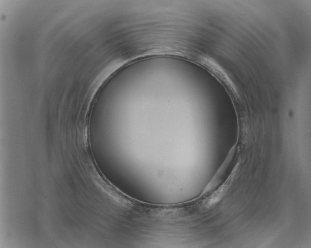 X0000073521284200608211755