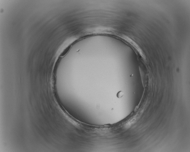 X0000073521285200608211755