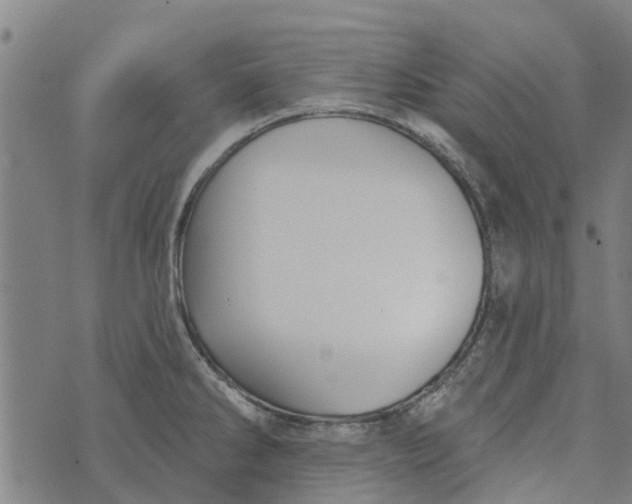 X0000073521286200608211755