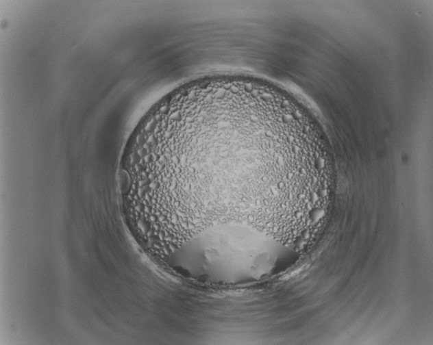 X0000073521287200608211755