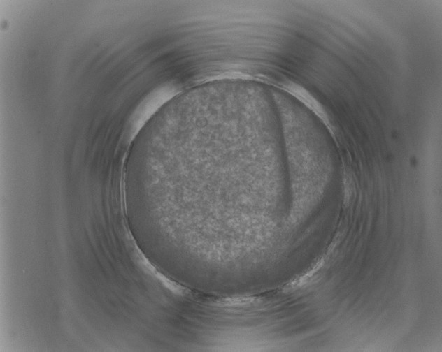 X0000073521290200608211755