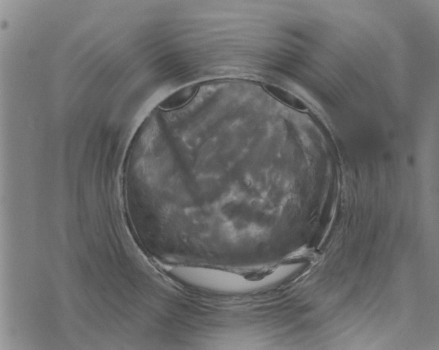 X0000073521291200608211755