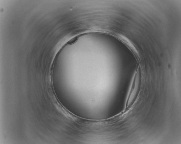 X0000073521292200608211755