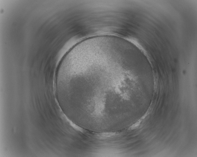 X0000073521294200608211755