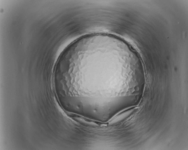 X0000073521295200608211755