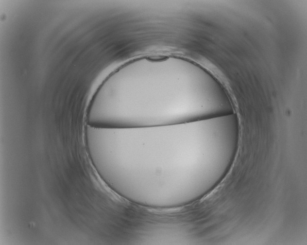 X0000073521296200608211755