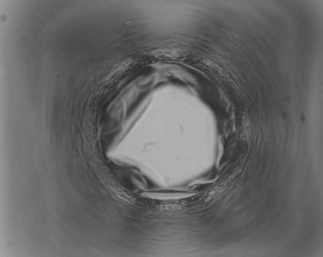 X0000073521297200608211754