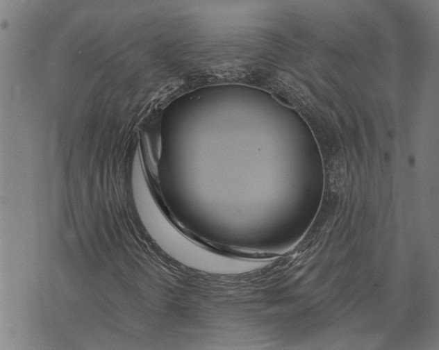 X0000073521298200608211754