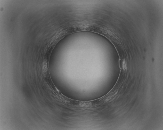 X0000073521299200608211754