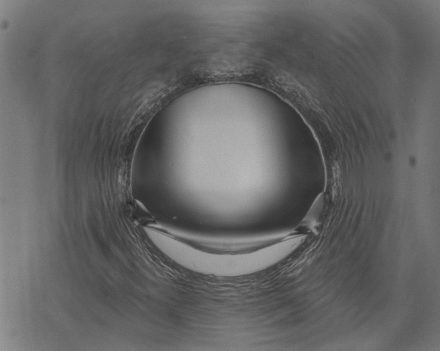 X0000073521300200608211754