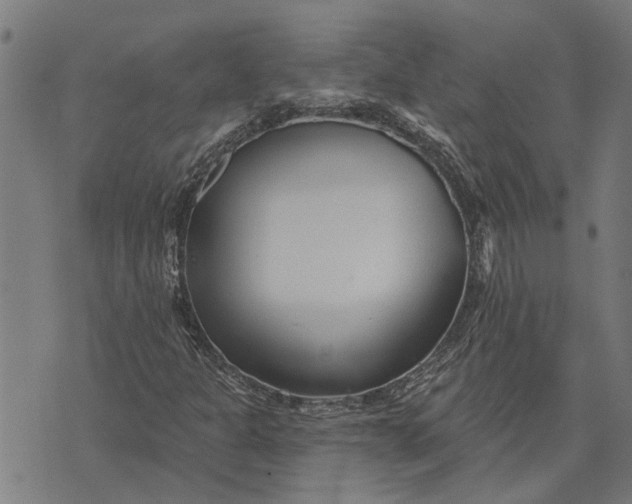 X0000073521301200608211754