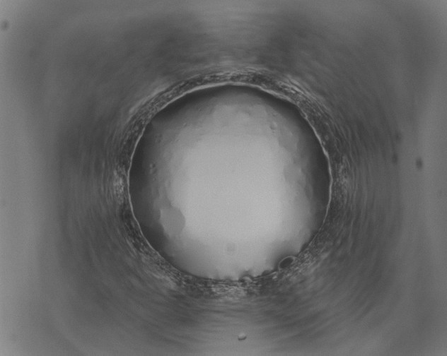 X0000073521302200608211754