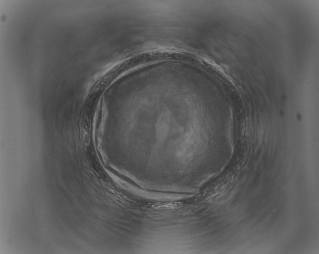 X0000073521303200608211754