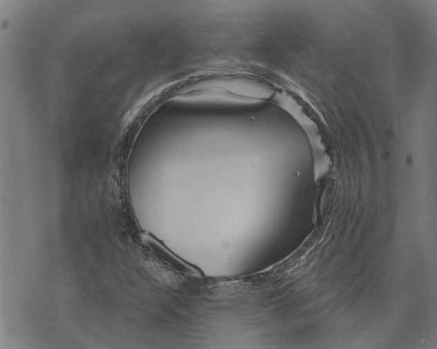 X0000073521304200608211754