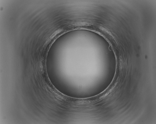 X0000073521305200608211754