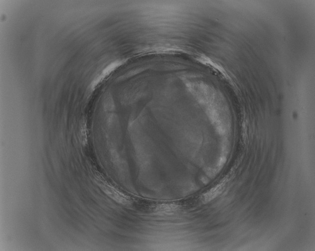 X0000073521306200608211754