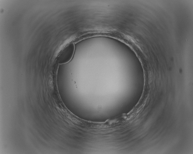 X0000073521307200608211754