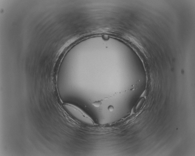 X0000073521308200608211754