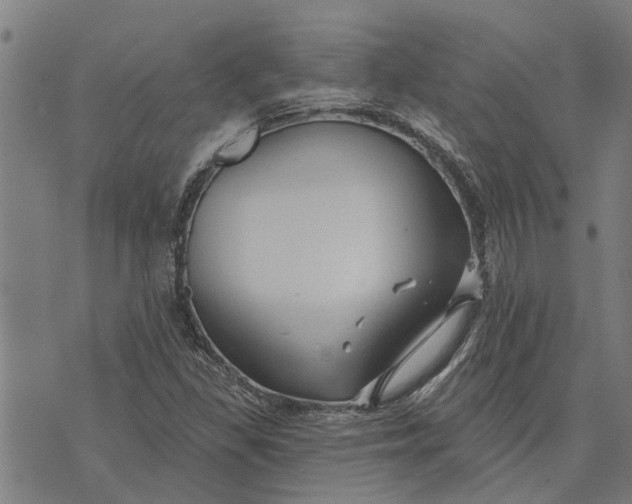 X0000073521309200608211754