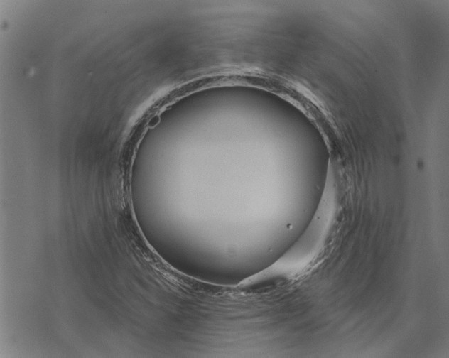 X0000073521310200608211754