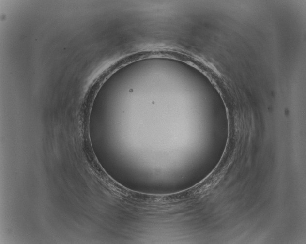 X0000073521311200608211755