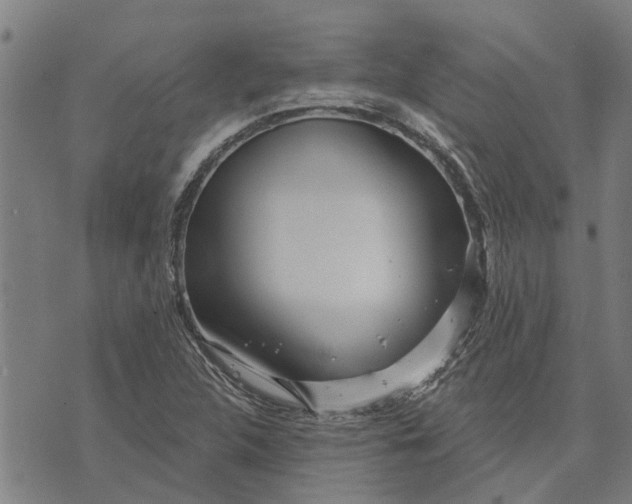 X0000073521312200608211755