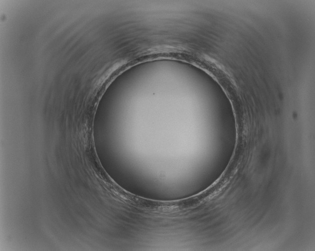 X0000073521313200608211755