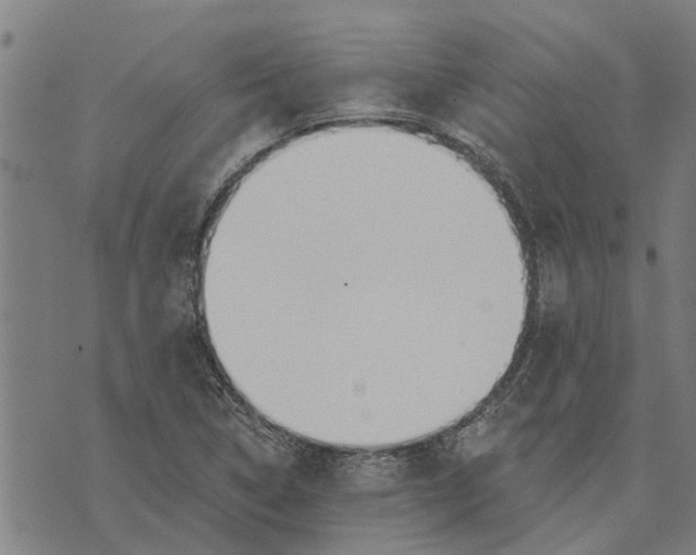 X0000073521314200608211755