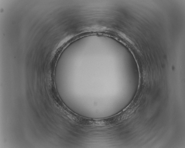 X0000073521315200608211755