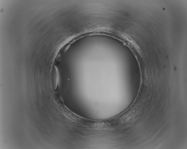 X0000073521316200608211755