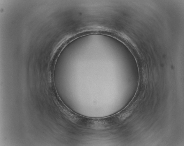 X0000073521318200608211755