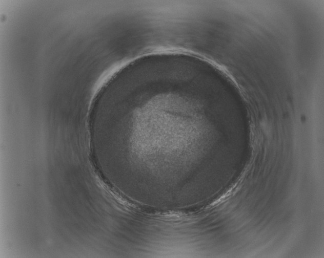 X0000073521319200608211755