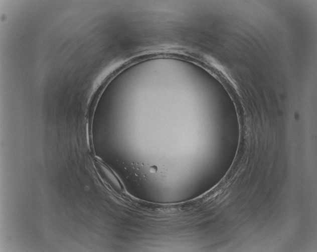 X0000073521320200608211755